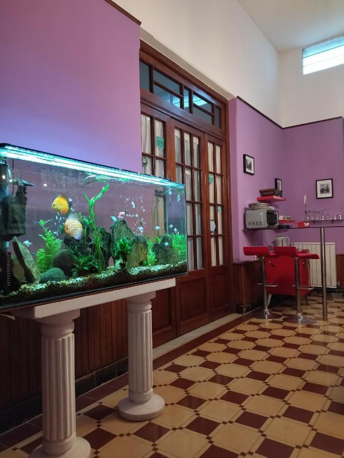 Cane B&B Montevideo Exteriér fotografie